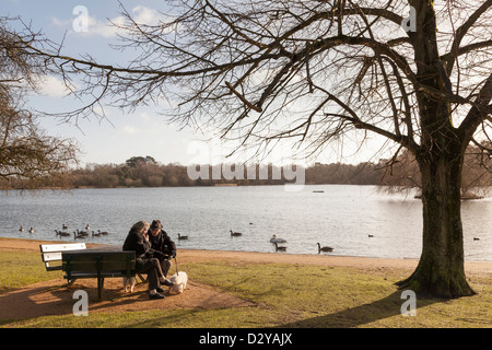 Couple de personnes âgées assis sur un banc au bord du lac en hiver soleil avec deux chiens scottie Banque D'Images