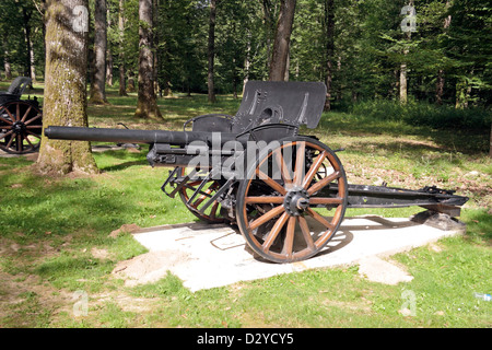 Une pièce d'artillerie de l'US Marine à l'écran dans l'US Marine Corps à Memorial Belleau Wood, près de Château-Thierry, France. Banque D'Images