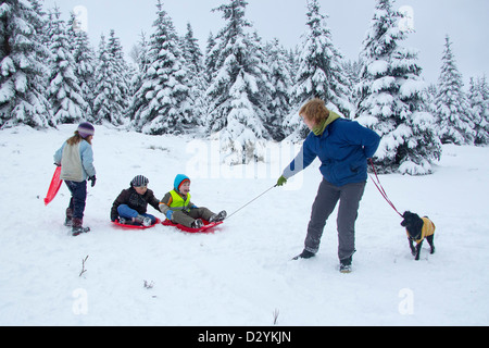 famille de luge Banque D'Images