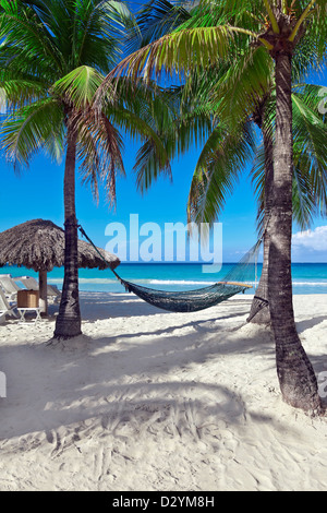 Un hamac entre deux palmiers à côté de l'océan sur un tropical resort. Banque D'Images
