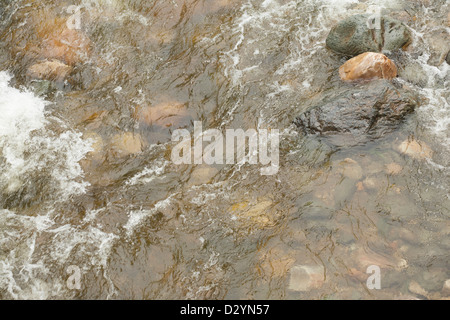 L'eau s'écoule rapidement pendant le dégel du printemps sur la Rivière Froide à Charlemont, Massachusetts. Banque D'Images