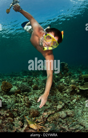 Dans l'homme sous l'eau, masque et tuba, descendant Banque D'Images