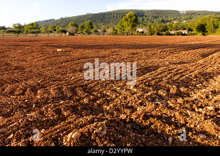 Un champ labouré en Provence, à Garéoult près de Brignoles en France, au coucher du soleil. Banque D'Images