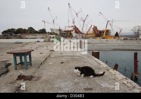 17 février 2012 - Sotchi, le territoire de Krasnodar, Russie - Décembre 06,2012. Sotchi,région de Krasnodar Russie.Sochi 2014 objets de l'infrastructure des Jeux Olympiques . Sur la photo : les travaux de construction du nouveau quai de Sotchi (retour) (Crédit Image : © PhotoXpress/ZUMAPRESS.com) Banque D'Images