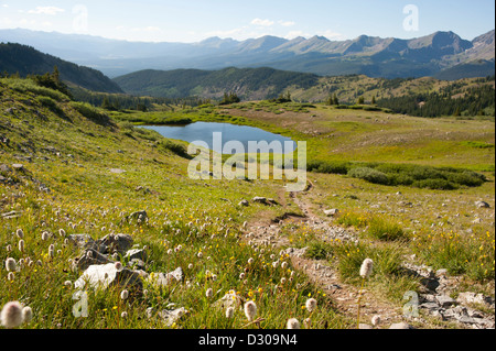 La conception occidentale de la partie supérieure de Cottonwood Pass, le long de la ligne de partage près de Buena Vista, Colorado Banque D'Images