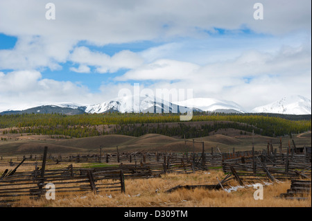 L'Hayden Ranch au sud de Leadville, Colorado a été créée en 1859, produisant principalement des mineurs du foin pour chevaux et mulets. Banque D'Images