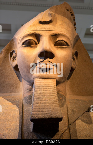 Le buste colossal de Ramses 11 dans le British Museum de Londres. Banque D'Images