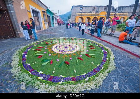 Tapis de fleurs et de plantes ont été portées sur une rue pour l'une des processions de Pâques, Antigua, Guatemala, Amérique Centrale Banque D'Images