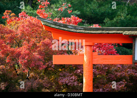 Torii en bois orange dans le jardin japonais, Jardin botanique de Brooklyn, Brooklyn New York Banque D'Images