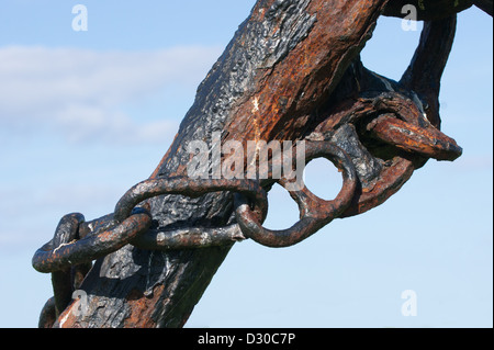 Une oxydation/old anchor en décomposition et de la chaîne sur le livre vert que vous tournez dans village Beadnell. Banque D'Images