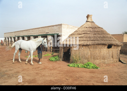 Khartoum, Soudan, Polo Club Afrique Banque D'Images