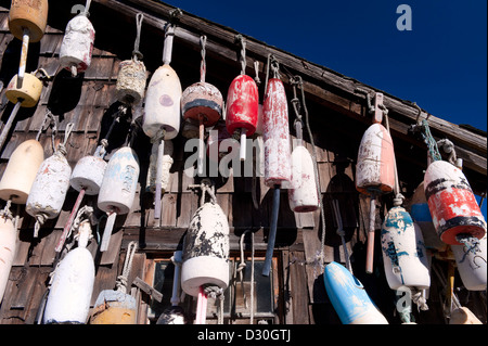 Les bouées de homard accroché sur le mur de galets d'un hangar. Banque D'Images