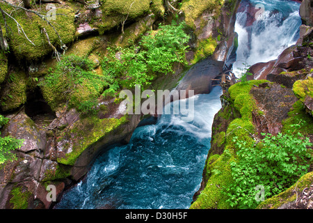 Les eaux aigue-marine jaillissante et falaises de douceur dans le ruisseau Avalanche Glacier National Park, Montana Banque D'Images