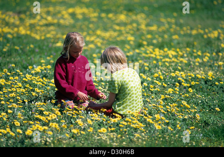 Deux filles assis dans un champ de marguerites jaunes. Banque D'Images