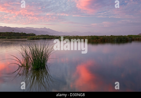 Coucher de soleil sur l'estuaire et la Sierra de La Laguna (chaîne de montagnes), San Jose del Cabo, Baja California Sur, Mexique Banque D'Images