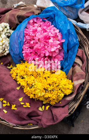 Vente de fleurs pour faire des guirlandes sur une rue indienne. L'Inde Banque D'Images