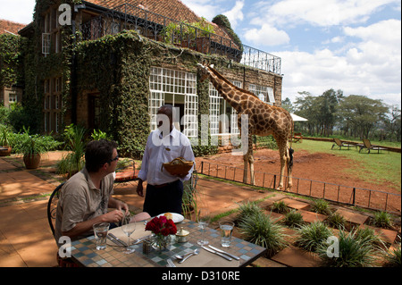 Déjeuner au Manoir de girafe, Centre Afew Giraffe, Nairobi, Kenya Banque D'Images