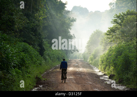 Cycliste de brume matinale sur la route qui traverse la forêt de Kakamega National Reserve, Kenya Banque D'Images