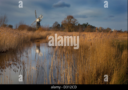 Boardmans Bazin Comment Hill Norfolk sur une journée l'hiver Banque D'Images