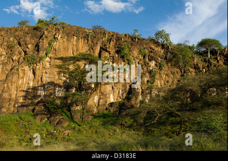 Sur les falaises de grès de la Communauté Ruko Wildlife Conservancy, lac Baringo, au Kenya Banque D'Images