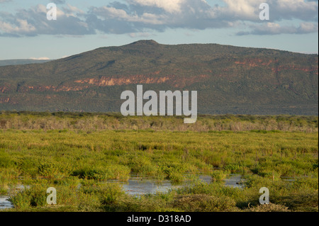 Paysages, lac Baringo, au Kenya Banque D'Images