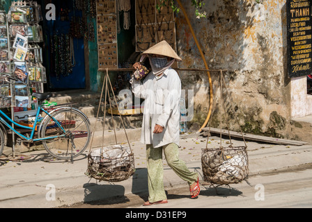 Une femme porte des légumes pour la vente dans des paniers traditionnels le 8 janvier 2008 à Hoi An, au Vietnam. Banque D'Images