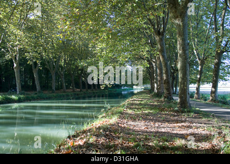 Canal latéral de la Garonne Banque D'Images