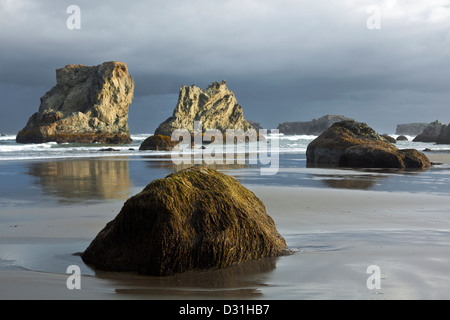 Ou00957-00...OREGON - La côte du Pacifique à Bandon beach de Face Rock vue au lever du soleil. Banque D'Images