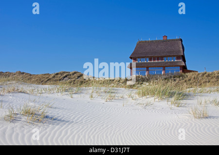 Villa au toit de chaume dans les dunes à Wittdün auf Amrum sur l'île d'Amrum, Nordfriesland, Schleswig-Holstein, Allemagne Banque D'Images