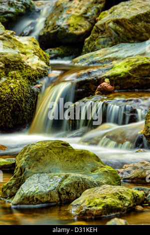 Une cascade de Powerscourt, en Irlande Banque D'Images