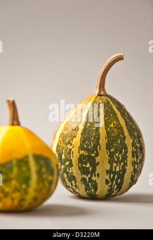 Les légumes verts et jaunes gourd Banque D'Images
