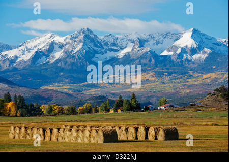 Hay bales in rural field Banque D'Images