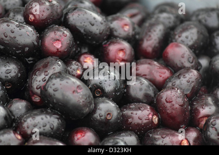 Jambul, cumini Syzygium, ou prune noire en vente, marché de Pune Banque D'Images