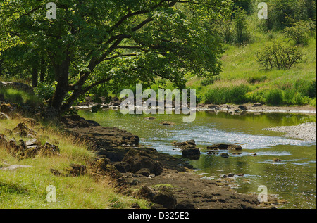 River Wharfe près de Grassington dans le Yorkshire Dales Banque D'Images