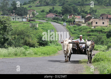 Indian Bullock panier sur la route de village Banque D'Images