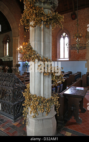 Houblon séchés enroulée autour d'une colonne à St Mary's Chapel à Arley Hall gardens Cheshire England UK Banque D'Images