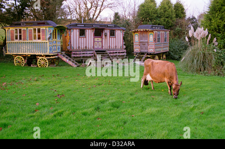 Jersey et roulottes, Helston, Cornwall, Angleterre Banque D'Images