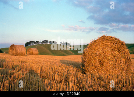 Bottes de paille et White Horse, Vega, Calne, Wiltshire, Angleterre Banque D'Images