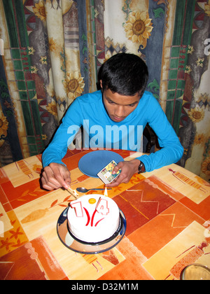 HCRXVV Décoration De Gâteau D'anniversaire Pour Fille - Rose - 14 Ans - Avec éventails En Papier - Pour Fête Du 14e Anniversaire - Rose (12 Pièces