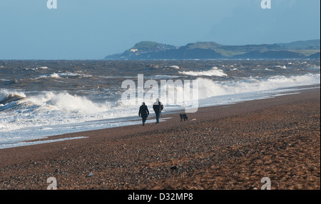 Couple walking dog sur le claj beach, North Norfolk, Angleterre Banque D'Images