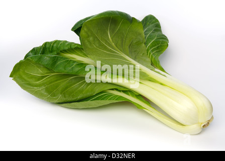 Ensemble de pak-choï (Brassica rapa) against white background Banque D'Images