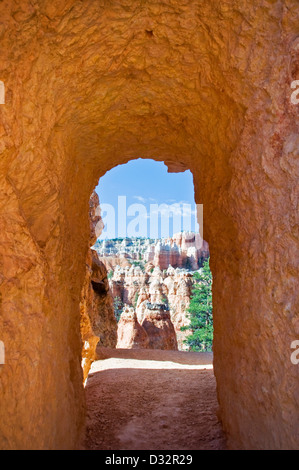 Le parc national de Bryce Canyon, tunnel à Queen's garden trail - Utah, USA Banque D'Images