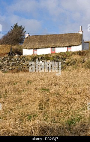 Thatched Cottage traditionnel irlandais Banque D'Images