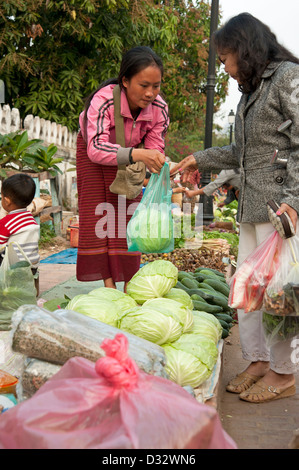 Une femme se pencher l'achat de choux frais au marché de Luang Prabang au Laos Banque D'Images