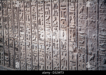 Hiéroglyphes sur le Temple de Kom Ombo par le Nil en Egypte Banque D'Images