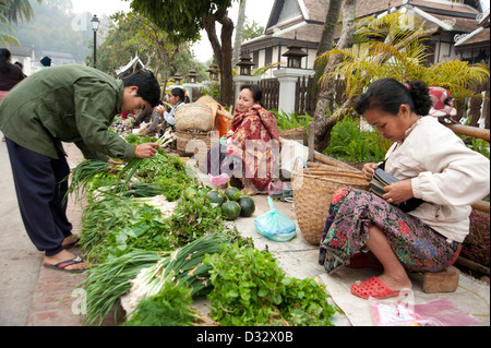 La sélection de l'homme vert frais au marché de la rue tôt le matin Luang Prabang au Laos Banque D'Images