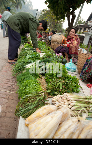 La sélection de l'homme vert frais au marché de la rue tôt le matin Luang Prabang au Laos Banque D'Images