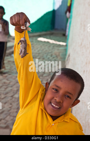 Garçon avec souris, Jugol (vieille ville), l'Ethiopie Harar Banque D'Images