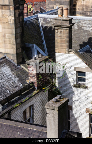 Vue depuis le pont Tyne les toits et quai et zones latérales de Newcastle Upon Tyne, Tyne and Wear, Royaume-Uni Banque D'Images