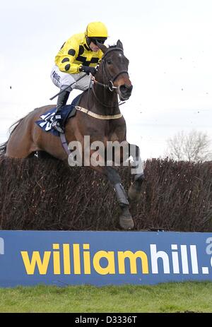 Huntingdon Race Course. Le Cambridgeshire. 7 février 2013. ARBEO gagnant monté par Sam Thomas saute la clôture dernière.La race 3. 32Red Casino novices ? Handicap Chase. Fen Chatteris journée de course.. Credit : Sport en images / Alamy Live News Banque D'Images